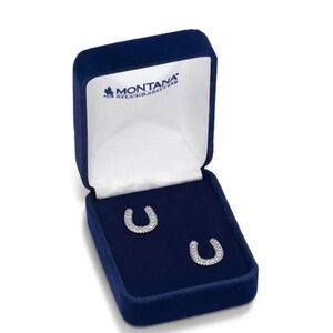 Montana Silversmiths, Ladies Frosted Luck Crystal Earrings